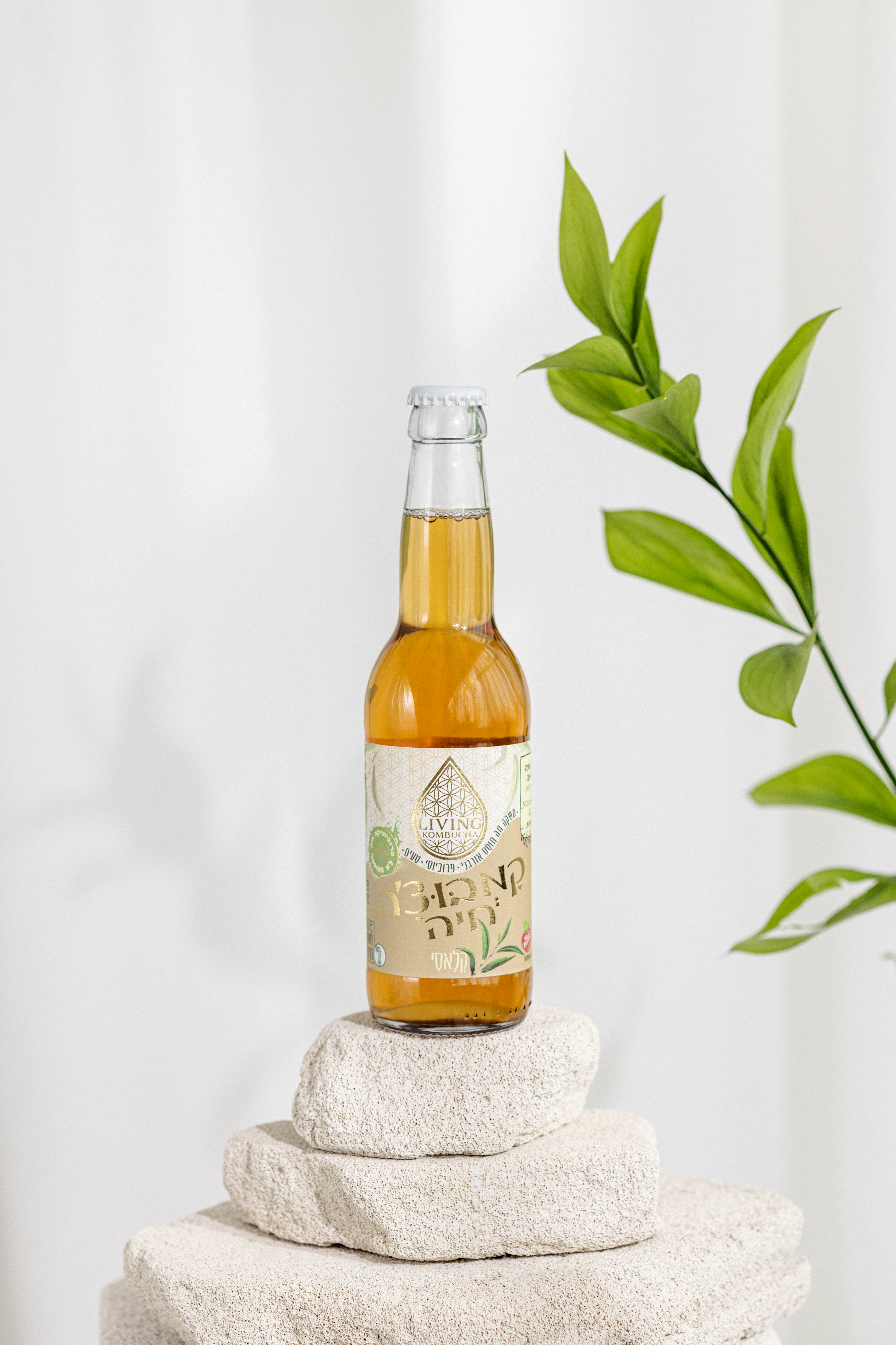 מעי רגיז פרוביוטיקה